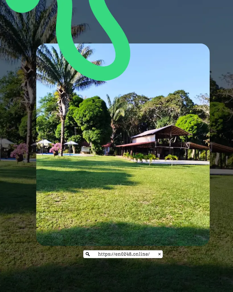 5.webp