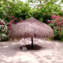 WhatsApp Image 2025-01-16 at 3.18.57 PM.webp